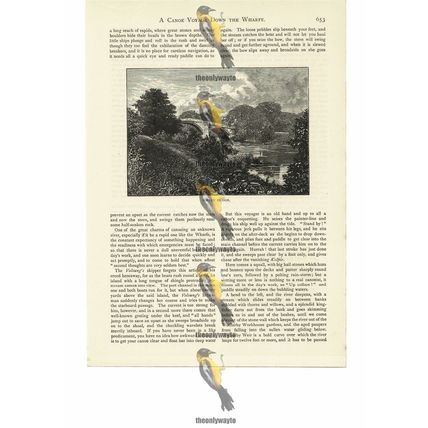 Ilkley Bridge, North Yorkshire, England, Book Illustration (Print), 1884