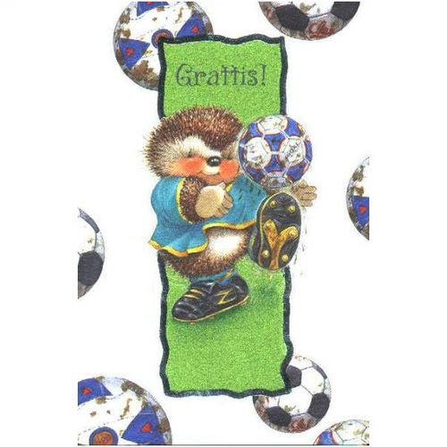 Doublecard Grattis! (Congratulations!) - with hedgehog