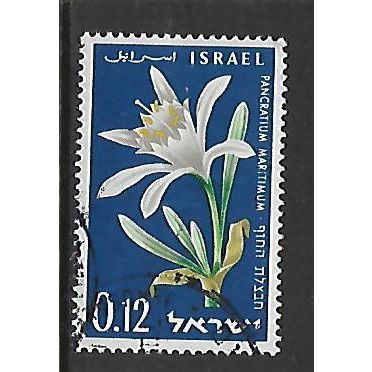 ISRAEL 1960 12a PANCRATIUM MARITIMUM SG 188 FINE USED#