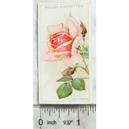 1926 Wills Roses No. 29 Los Angeles