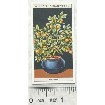 1925 Wills Flower Culture in Pots No. 36 Orange