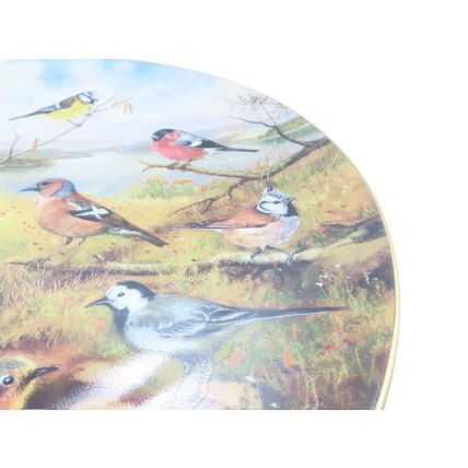 European Garden Birds German Decorative Plate By Karl-Hans Boese 1992 Home Decor