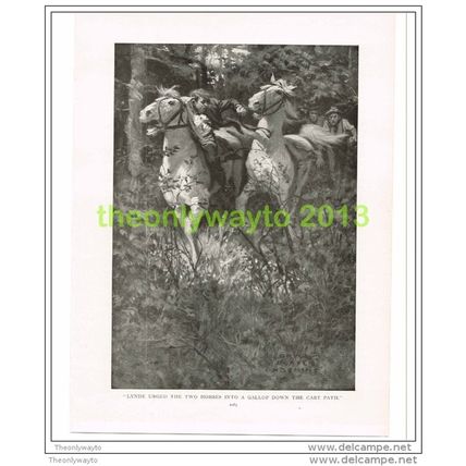 URGED THE 2 HORSES INTO A GALLOP...., ST NICHOLAS, Book Illustration, 1909