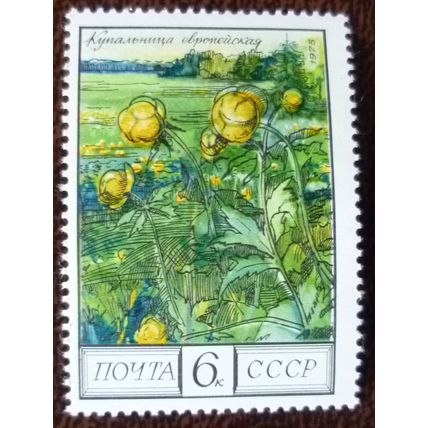 Russia 1975 Flowers 6k Globe Flower mint stamp SG4467 nature