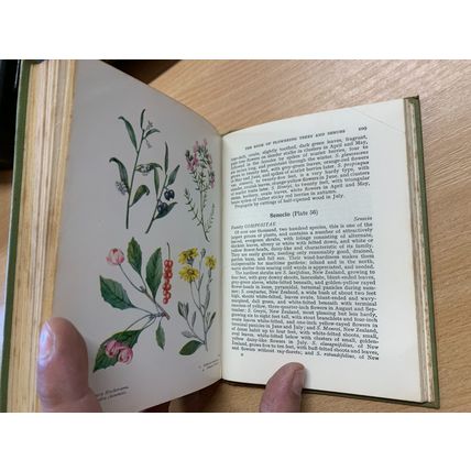 1967 THE BOOK OF FLOWERING TREES AND SHRUBS ILLUSTRATED HARDBACK BOOK (P3)