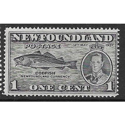 1937 SG 257 - MH (*)