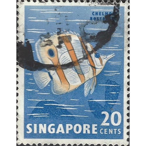 SINGAPORE, FISH, Copper-banded Butterflyfish, blue 1968, 20c, #3