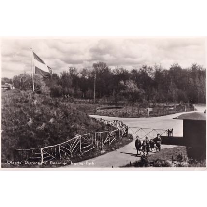 Children att Rockanje Ingange Park Holland Vintage Real Photo Postcard