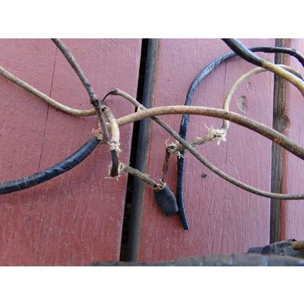 1955 DeSoto Under Dash Wiring Harness OEM Maybe Engine