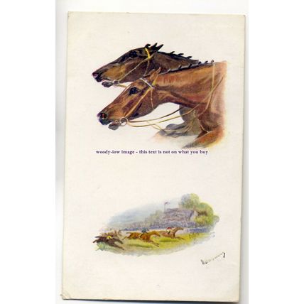 an0577 - Mans Best Friend, Steeplechase, Artist - N.Drummond - Postcard - Tuck's
