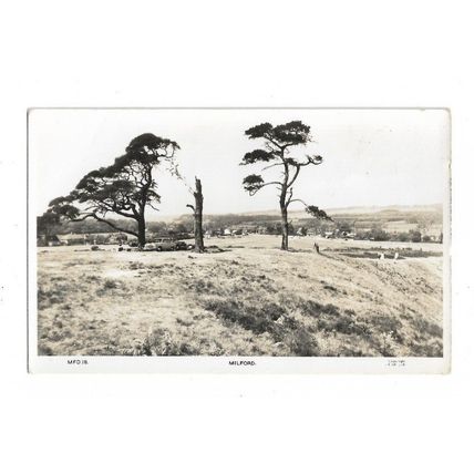 Milford. Devon, RP Postcard.
