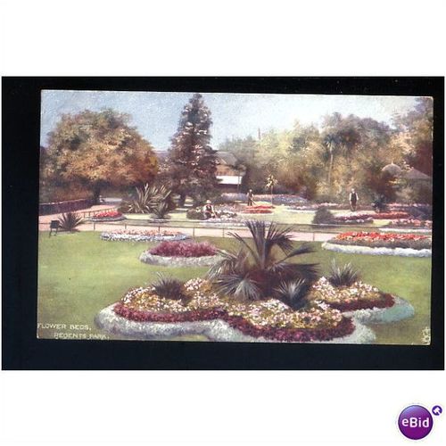 TUCK OILETTE Postcard 7194 "Flower Beds, Regents Park"