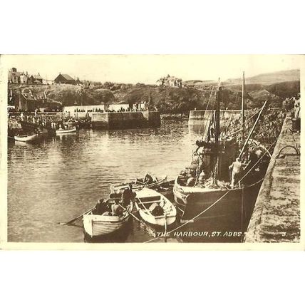Berwickshire ST ABBS Harbour Postcard (3)