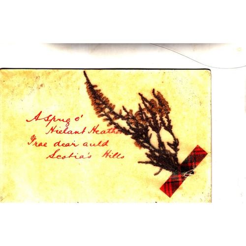 Vintage Postcard - A Sprig o' Hielant Heather Frae dear auld Scotia's Hills