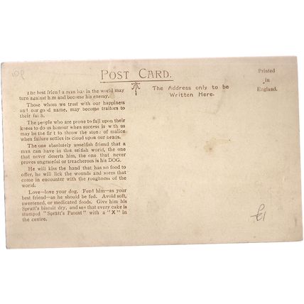 SPRATT'S DOG BISCUITS antique postcard King Edward's favourite dog, 'Caesar' #
