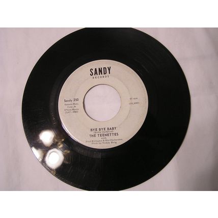 The Teenettes 45-THE ONE/BYE, BYE, BYE