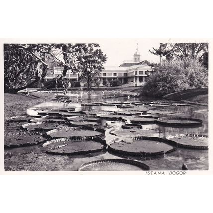 Bogor Indonesia Istana Gardens Real Photo Old Postcard