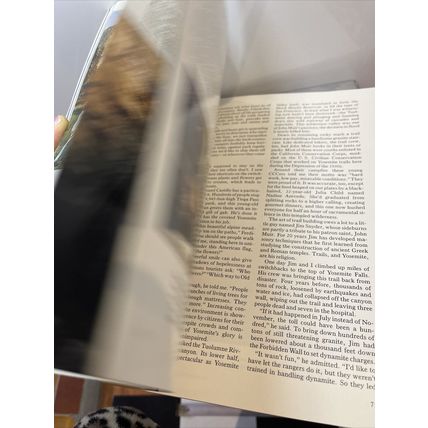 National Geographic Magazine January 1985 KoKo's Kitten - Vintage Collectable