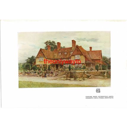 Durford Wood, Petersfield, Hants, Book Illustration (Print), 1913