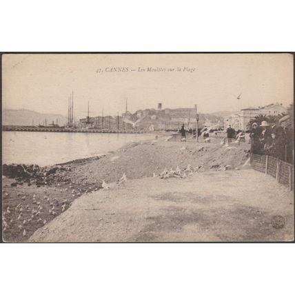 Les Mouëttes sur la Plage, Cannes, c.1920s - CPA LC47