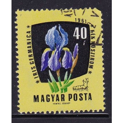 HUNGARY 1961 MEDICINAL PLANTS 40f BLUE IRIS USED SG1775