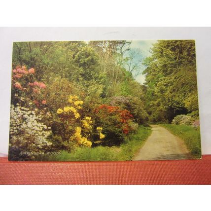 SHERINGHAM WOODS, NORFOLK, used postcard by J. Salmon =