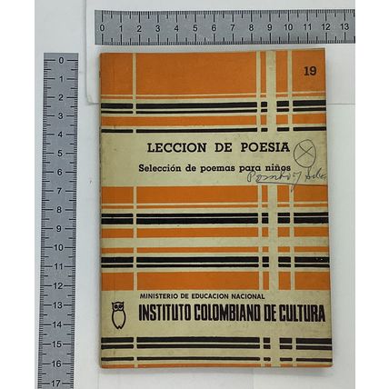 Leccion de poesia