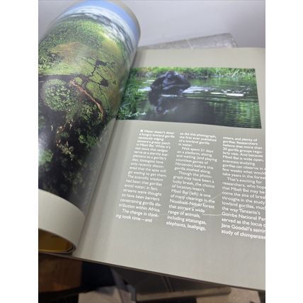 National Geographic Magazine July 1995 Ndoki Collectible Vintage b