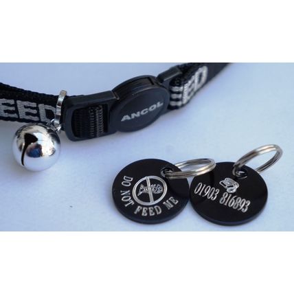 DO NOT FEED REFLECTIVE SAFETY CAT COLLAR BLACK & PERSONALISED TAG, FISH BONES