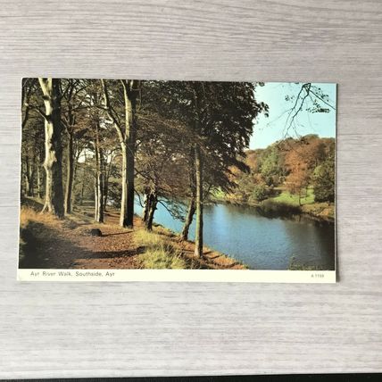 AYR RIVER WALK Southside Scotland Dennis A1159 Postcard VGC
