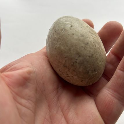 Vintage 1930's Broody Hen Chicken Egg Dummy Ceramic Clay Kitchen display item GC