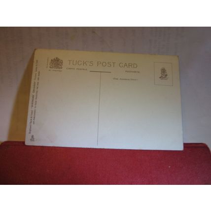 'BIRTHDAY CHILDREN' series unused antique postcard by Raphael Tuck =