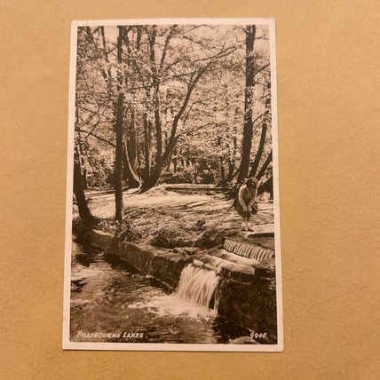 Bradbourne Park Lakes, Sevenoaks Unused RA Series Postcard VGC