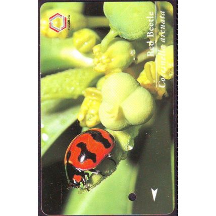 Bettles S'pore TransitLink Train Bus Card
