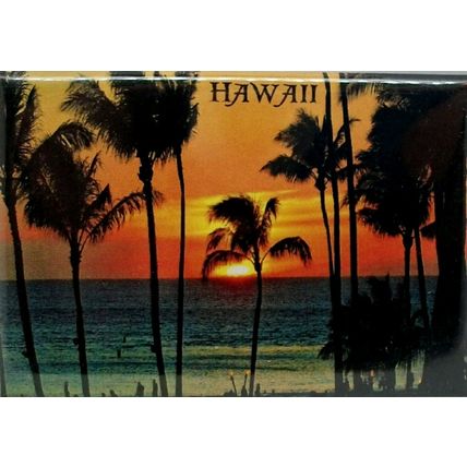 Hawaii Sunset Fridge Magnet