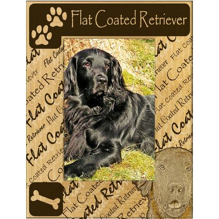 Flat Coated Retriever Laser Engraved Wood Picture Frame Portrait (8 x 10)