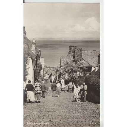Down-a-Long, Clovelly - Lilywhite # CVY6