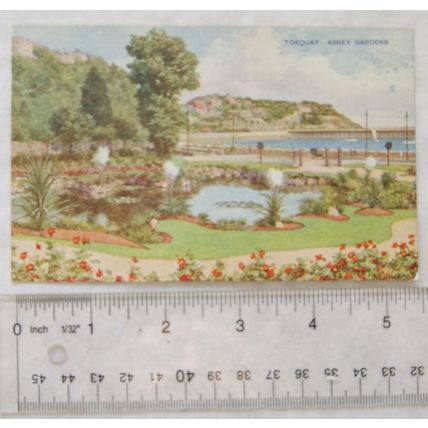 vintage colour postcard Abbey Gardens, Torquay