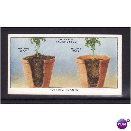 WILLS - 1938 GARDEN HINTS No 48 Potting Plants Mint