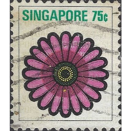 SINGAPORE, FLOWER, Gerbera jamesonii , white 1973, 75c, #4