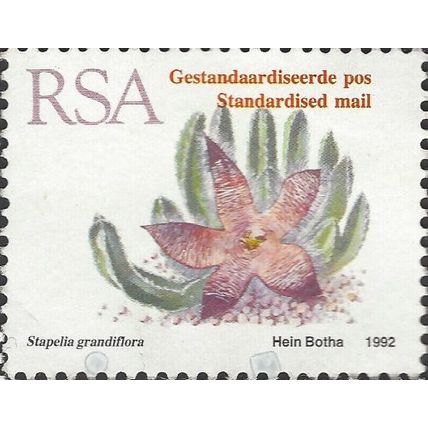 SOUTH AFRICA, SUCCULENT, Stapelia grandiflora, white 1993, 24mm
