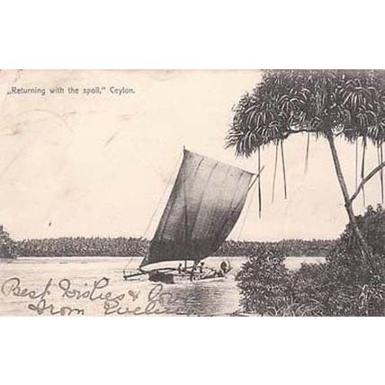 India Sea Ceylon Boat Ship Antique Rare 1905 Postcard
