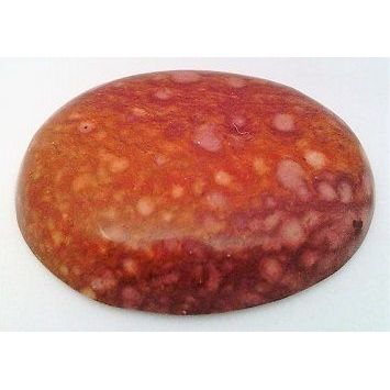 Petrified Wood Freeform Gemstone Cabochon 20