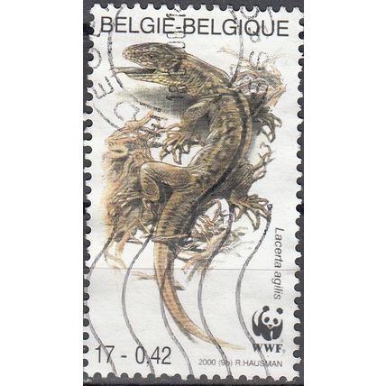 Belgique 2000 Michel 2949 O Cote (2008) 0.50 € WWF Lézard de souches Cachet rond