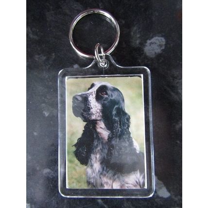 DOG BREED KEY RINGS QUALITY ACRYLIC DOUBLE SIDED PHOTO KEY RINGS 33 BREEDS