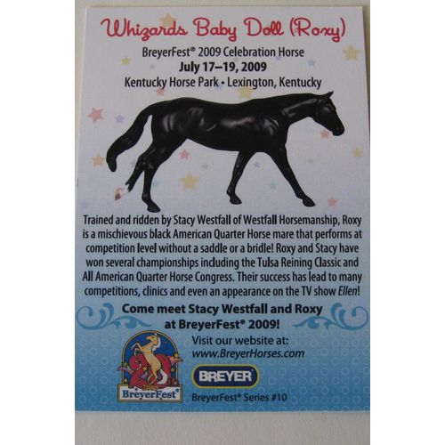 TRADING CARD - BREYER BREYERFEST 2009 WHIZARDS BABY DOLL ROXY BLACK HORSE