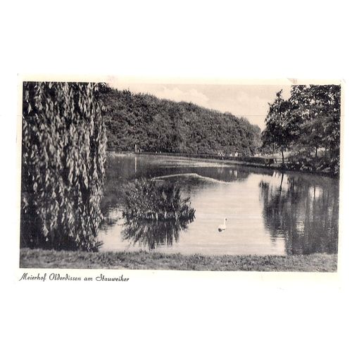 TIERPARK, OLDERDISSEN, BIELEFELD, GERMANY used vintage postcard 1958 postmark =