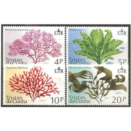 Tristan Da Cunha 1975 Sea Plants Set SG196-199 Unmounted Mint . .. .