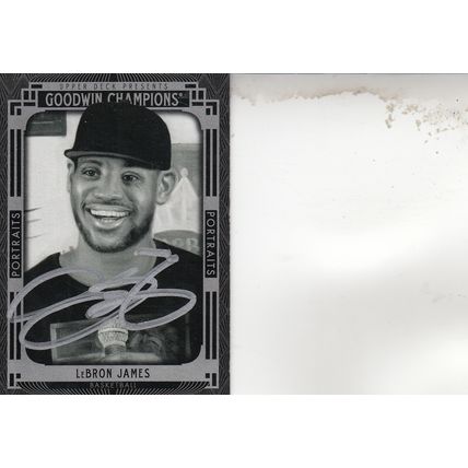 LeBRON JAMES GOODWIN CHAMPIONS 2015 AUTOGRAPHED CLEVELAND CAVALIERS WORLD CHAMP
