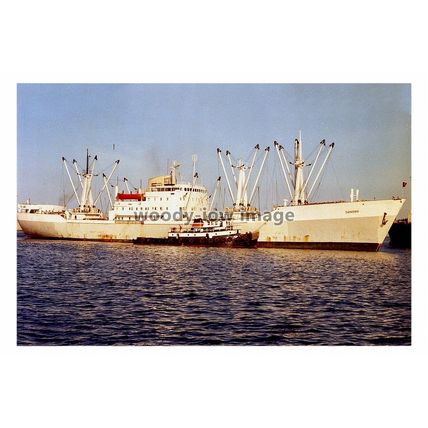 SQ1060 - Norwegian Cargo Ship - Corneville , built 1955 - photograph 6x4